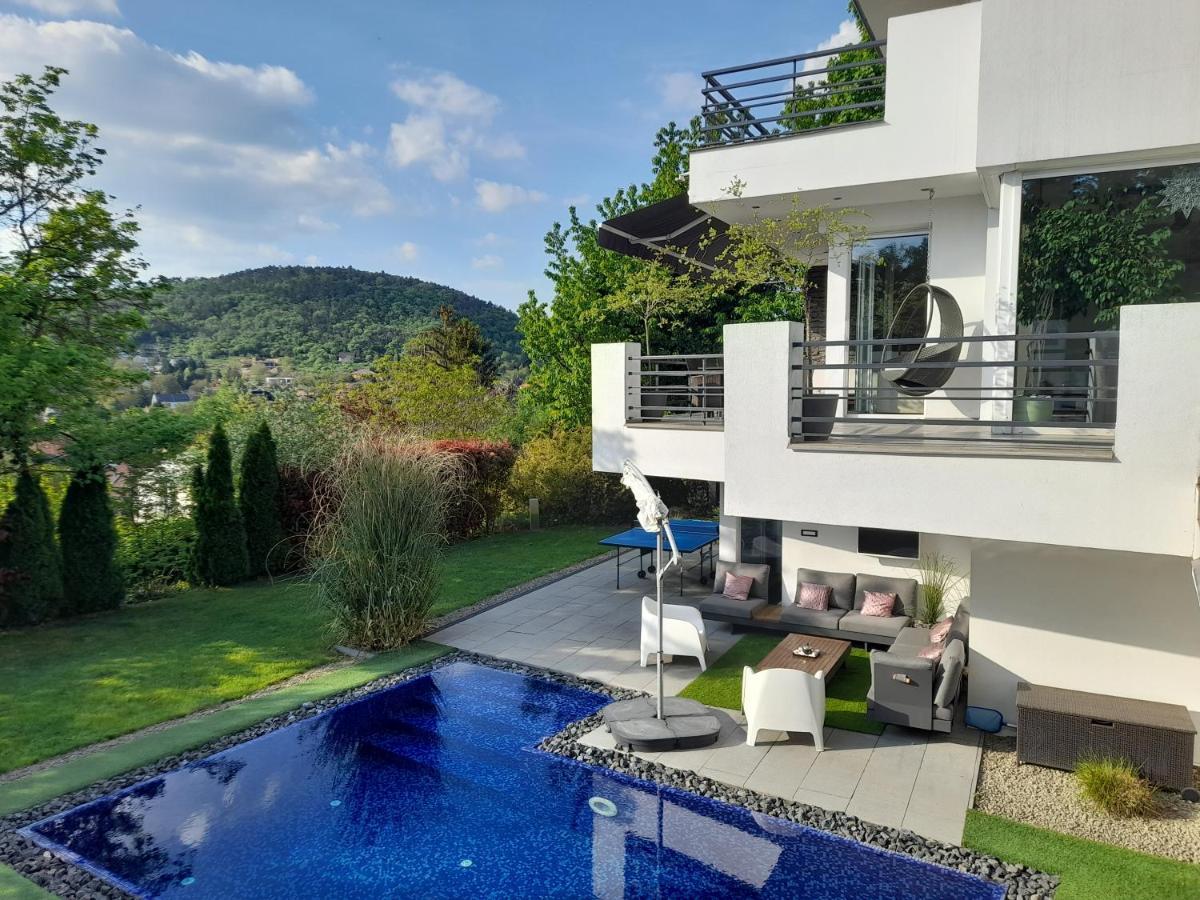 Private Family Villa Budaors Ngoại thất bức ảnh